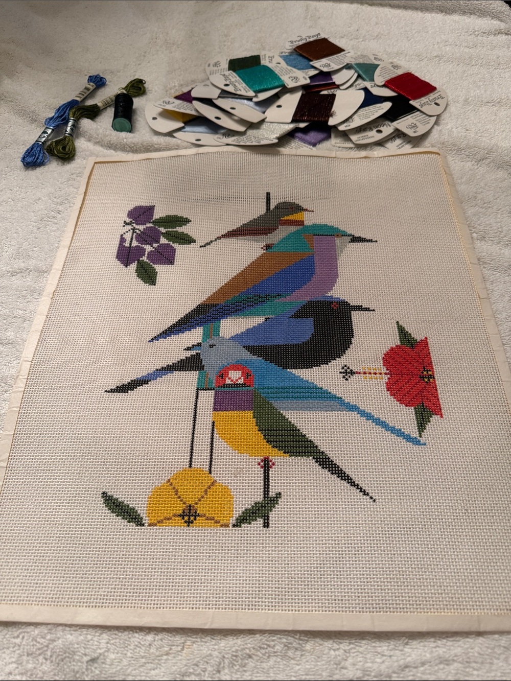 KIT Hand Painted Needlepoint Canvas “"Rainforest Birds" 🐈‍⬛